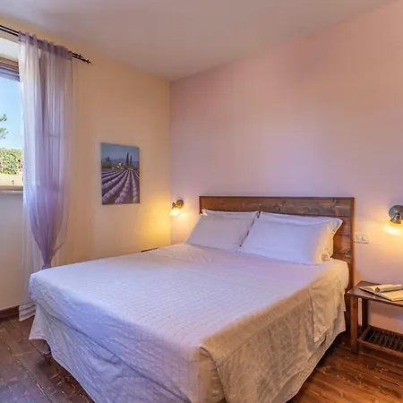 Binnella צ'ינגולי