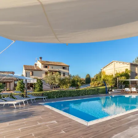 Binnella * צ'ינגולי