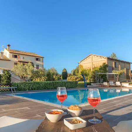 Binnella * צ'ינגולי