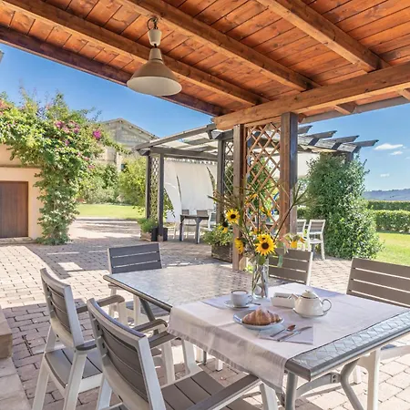 Binnella * צ'ינגולי