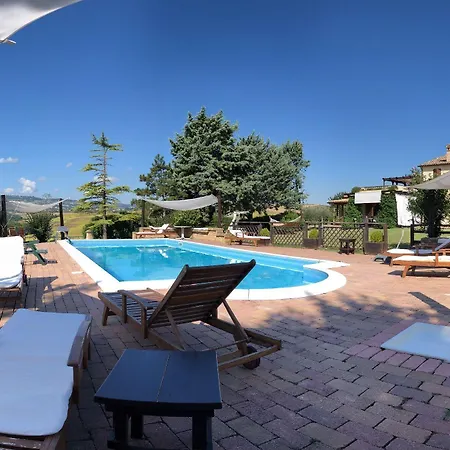 Binnella צ'ינגולי