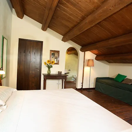 Binnella * צ'ינגולי