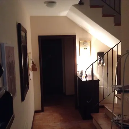 Binnella צ'ינגולי